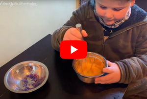 Arthur Makes A Borage Flower Omelette